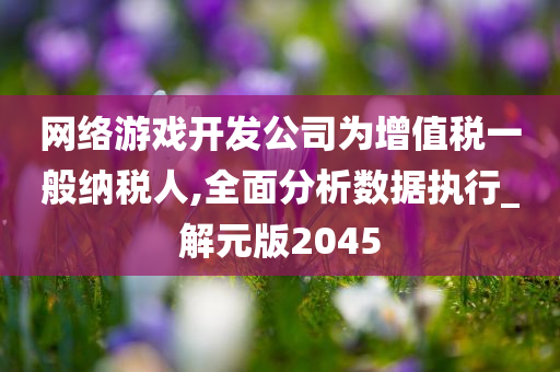 网络游戏开发公司为增值税一般纳税人,全面分析数据执行_解元版2045