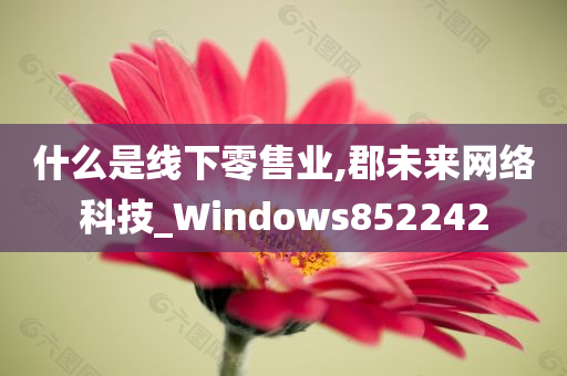 什么是线下零售业,郡未来网络科技_Windows852242