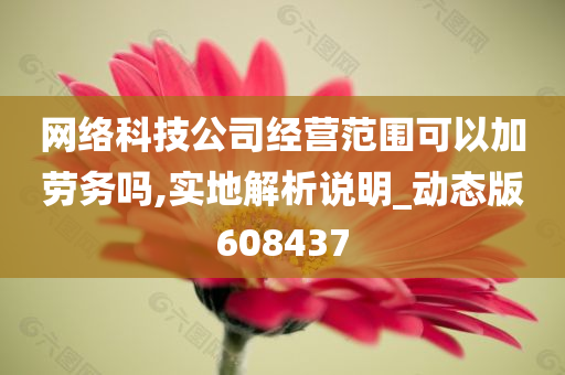 网络科技公司经营范围可以加劳务吗,实地解析说明_动态版608437