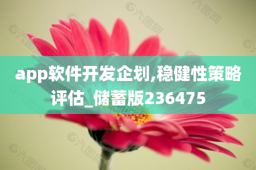 app软件开发企划,稳健性策略评估_储蓄版236475