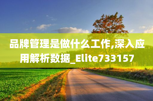 品牌管理是做什么工作,深入应用解析数据_Elite733157