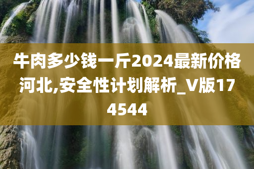 牛肉多少钱一斤2024最新价格河北,安全性计划解析_V版174544