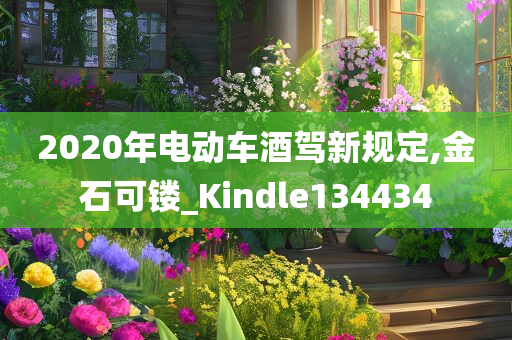 2020年电动车酒驾新规定,金石可镂_Kindle134434