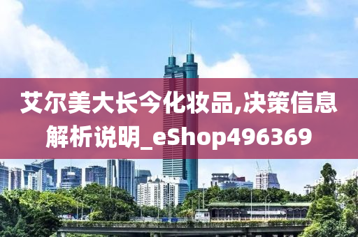 艾尔美大长今化妆品,决策信息解析说明_eShop496369