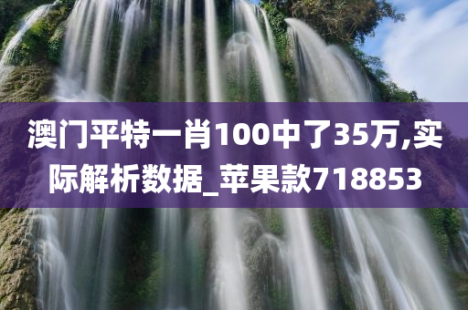 澳门平特一肖100中了35万,实际解析数据_苹果款718853