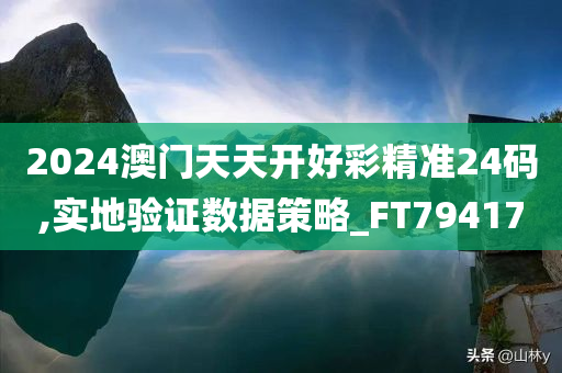 2024澳门天天开好彩精准24码,实地验证数据策略_FT794170