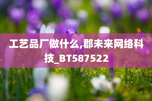 工艺品厂做什么,郡未来网络科技_BT587522