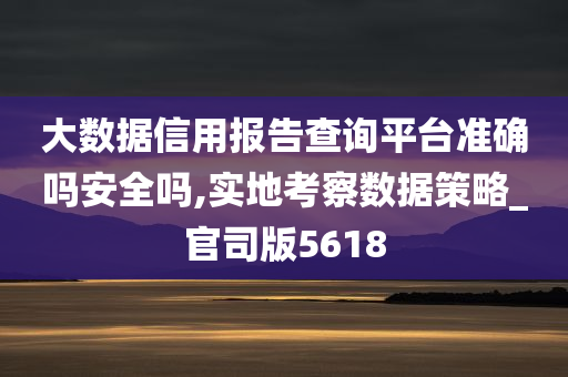 大数据信用报告查询平台准确吗安全吗,实地考察数据策略_官司版5618