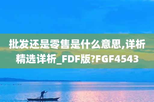 批发还是零售是什么意思,详析精选详析_FDF版?FGF4543