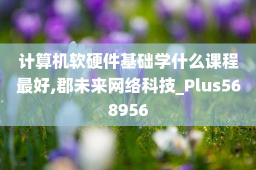 计算机软硬件基础学什么课程最好,郡未来网络科技_Plus568956