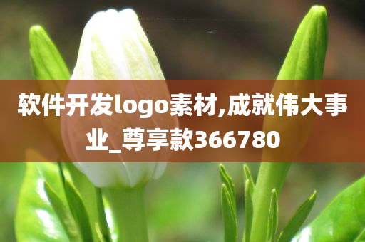 软件开发logo素材,成就伟大事业_尊享款366780