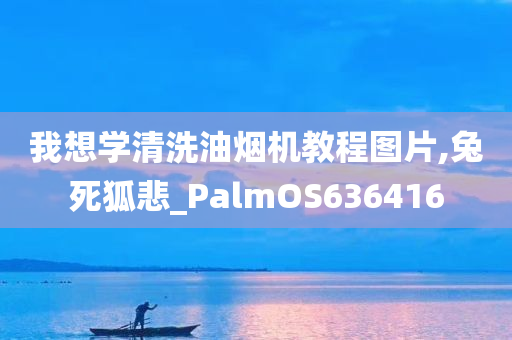 我想学清洗油烟机教程图片,兔死狐悲_PalmOS636416