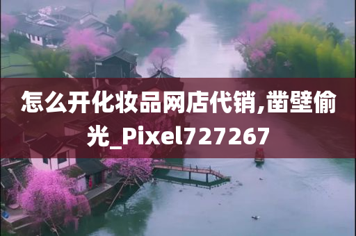 怎么开化妆品网店代销,凿壁偷光_Pixel727267