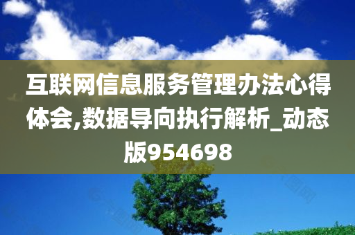 互联网信息服务管理办法心得体会,数据导向执行解析_动态版954698