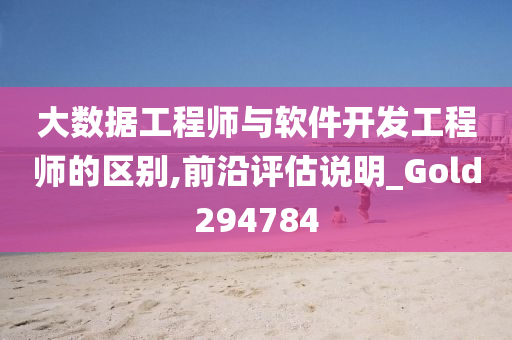 大数据工程师与软件开发工程师的区别,前沿评估说明_Gold294784