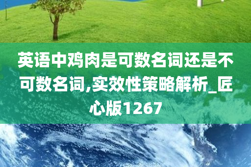 英语中鸡肉是可数名词还是不可数名词,实效性策略解析_匠心版1267