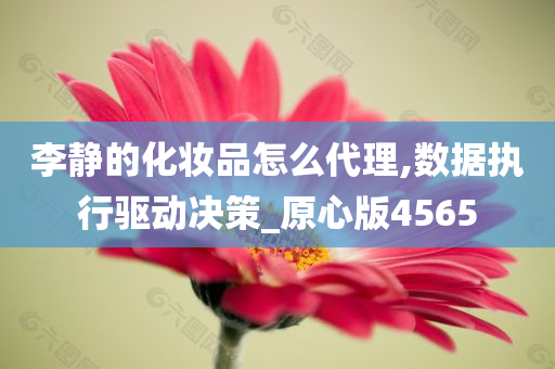 李静的化妆品怎么代理,数据执行驱动决策_原心版4565