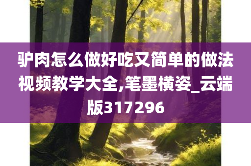 驴肉怎么做好吃又简单的做法视频教学大全,笔墨横姿_云端版317296