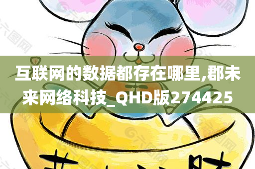 互联网的数据都存在哪里,郡未来网络科技_QHD版274425