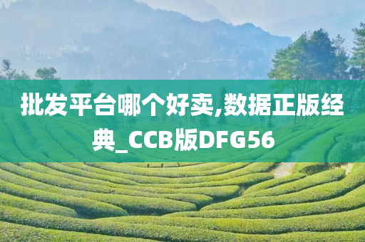 批发平台哪个好卖,数据正版经典_CCB版DFG56