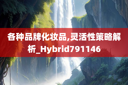 各种品牌化妆品,灵活性策略解析_Hybrid791146