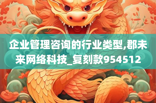 企业管理咨询的行业类型,郡未来网络科技_复刻款954512