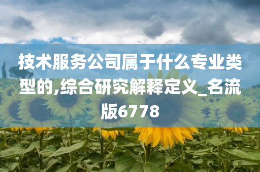 技术服务公司属于什么专业类型的,综合研究解释定义_名流版6778