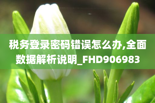 税务登录密码错误怎么办,全面数据解析说明_FHD906983