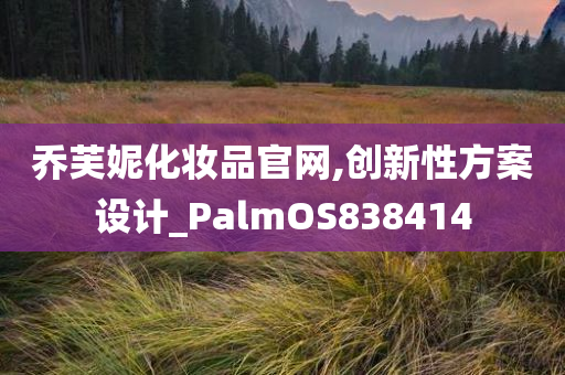 乔芙妮化妆品官网,创新性方案设计_PalmOS838414