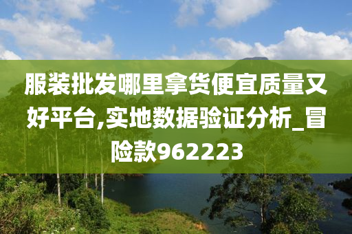 服装批发哪里拿货便宜质量又好平台,实地数据验证分析_冒险款962223