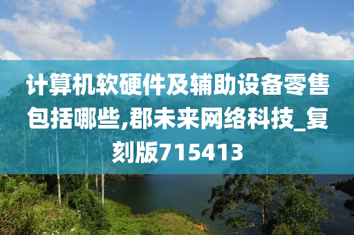 计算机软硬件及辅助设备零售包括哪些,郡未来网络科技_复刻版715413