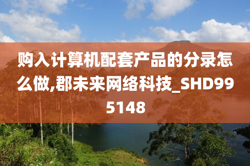 购入计算机配套产品的分录怎么做,郡未来网络科技_SHD995148