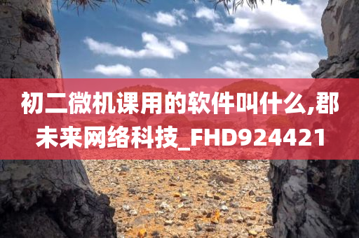 初二微机课用的软件叫什么,郡未来网络科技_FHD924421