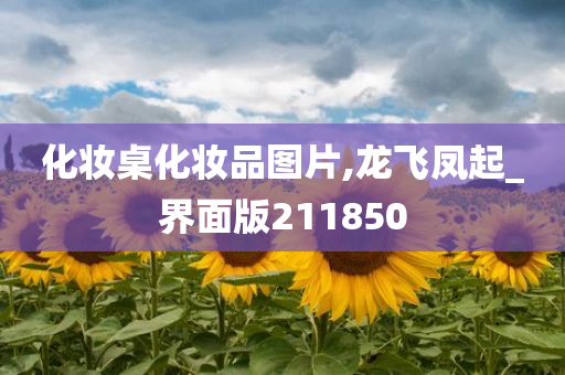 化妆桌化妆品图片,龙飞凤起_界面版211850