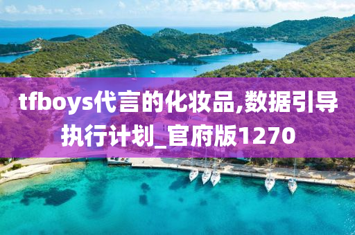 tfboys代言的化妆品,数据引导执行计划_官府版1270