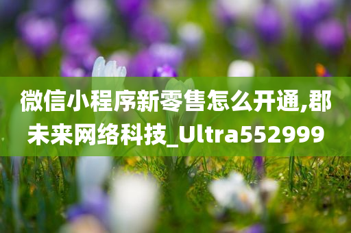 微信小程序新零售怎么开通,郡未来网络科技_Ultra552999