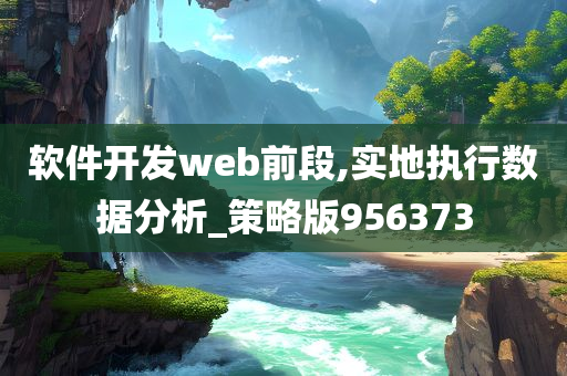 软件开发web前段,实地执行数据分析_策略版956373