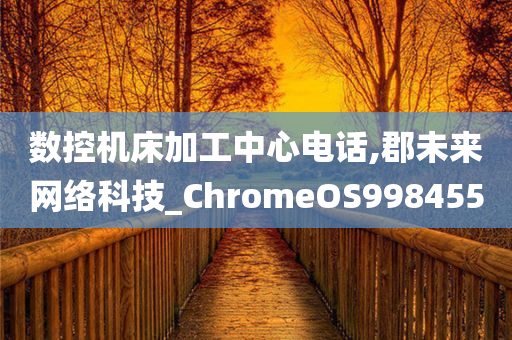 数控机床加工中心电话,郡未来网络科技_ChromeOS998455