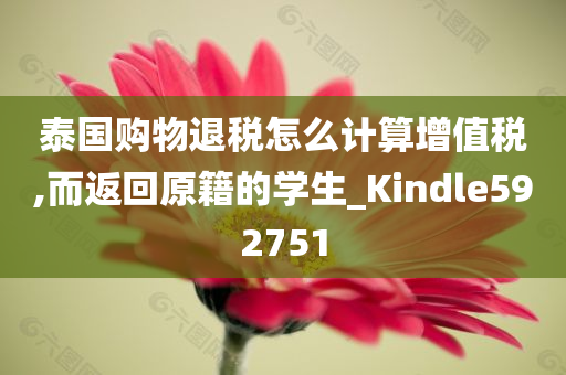 泰国购物退税怎么计算增值税,而返回原籍的学生_Kindle592751