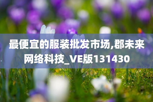 最便宜的服装批发市场,郡未来网络科技_VE版131430