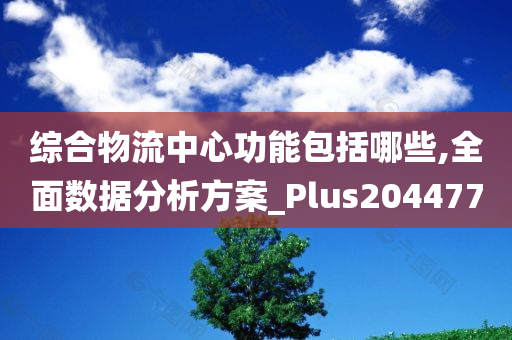 综合物流中心功能包括哪些,全面数据分析方案_Plus204477