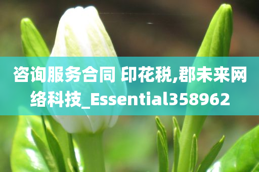 咨询服务合同 印花税,郡未来网络科技_Essential358962