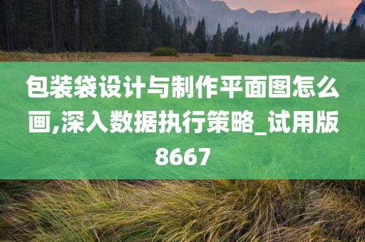 包装袋设计与制作平面图怎么画,深入数据执行策略_试用版8667