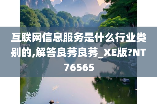 互联网信息服务是什么行业类别的,解答良莠良莠_XE版?NT76565