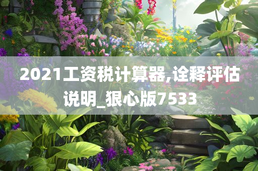 2021工资税计算器,诠释评估说明_狠心版7533