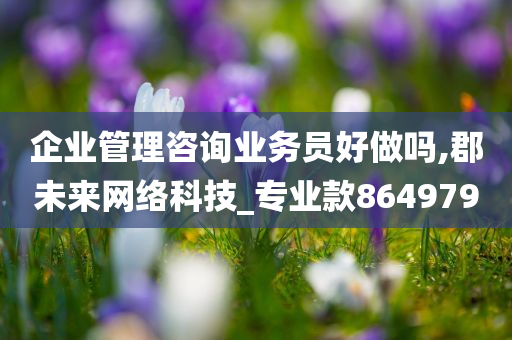 企业管理咨询业务员好做吗,郡未来网络科技_专业款864979