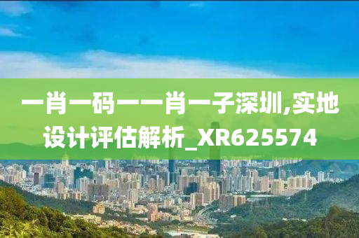 一肖一码一一肖一子深圳,实地设计评估解析_XR625574