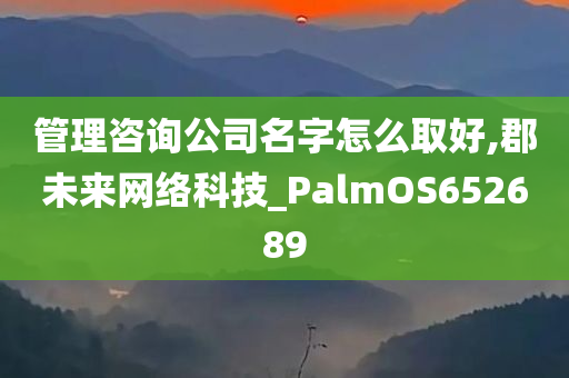 管理咨询公司名字怎么取好,郡未来网络科技_PalmOS652689