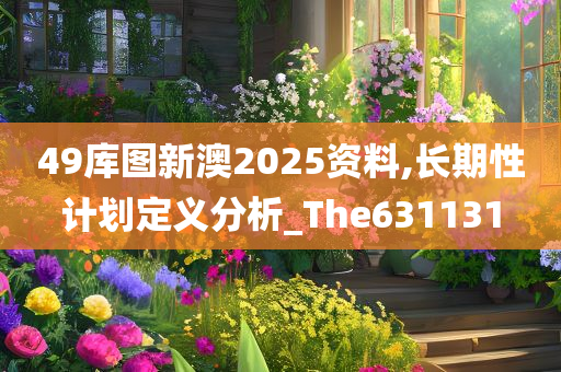 49库图新澳2025资料,长期性计划定义分析_The631131