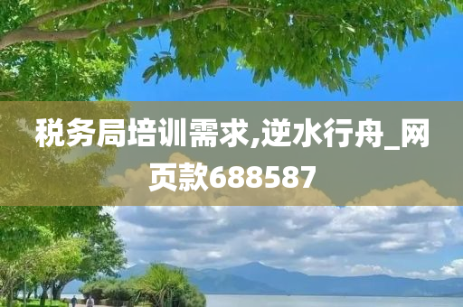 税务局培训需求,逆水行舟_网页款688587